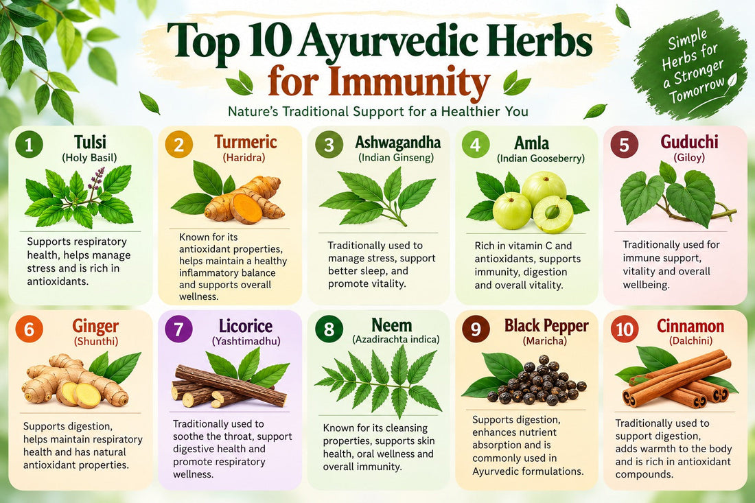Top 10 Ayurvedic Herbs for Immunity