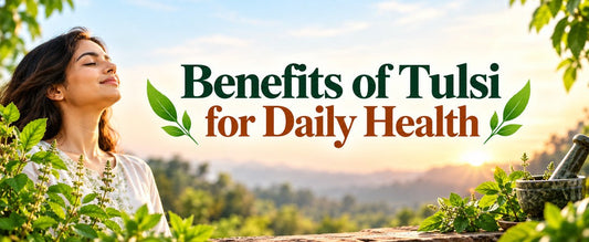 Benefits of Tulsi for Daily Health