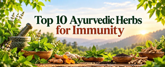 Top 10 Ayurvedic Herbs for Immunity