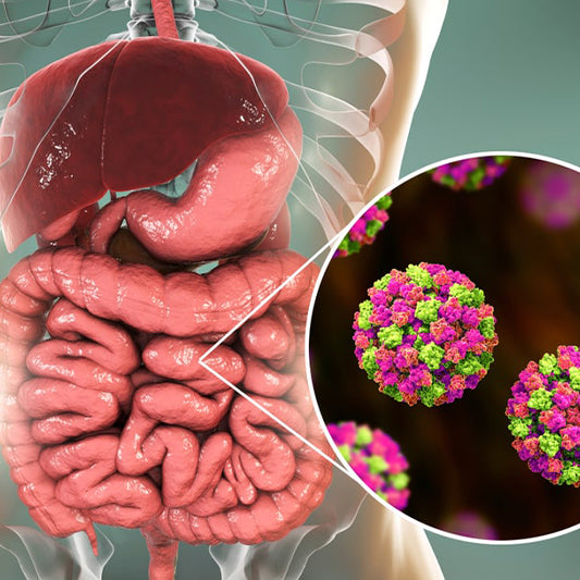 Hyperacidity & Gastric Disorders